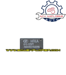 HFKA 012-1ZSPT relay