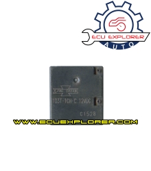 103T-1CH-C 12VDC relay