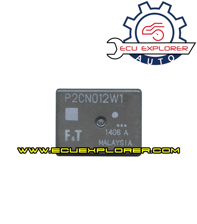 P2CN012W1 relay