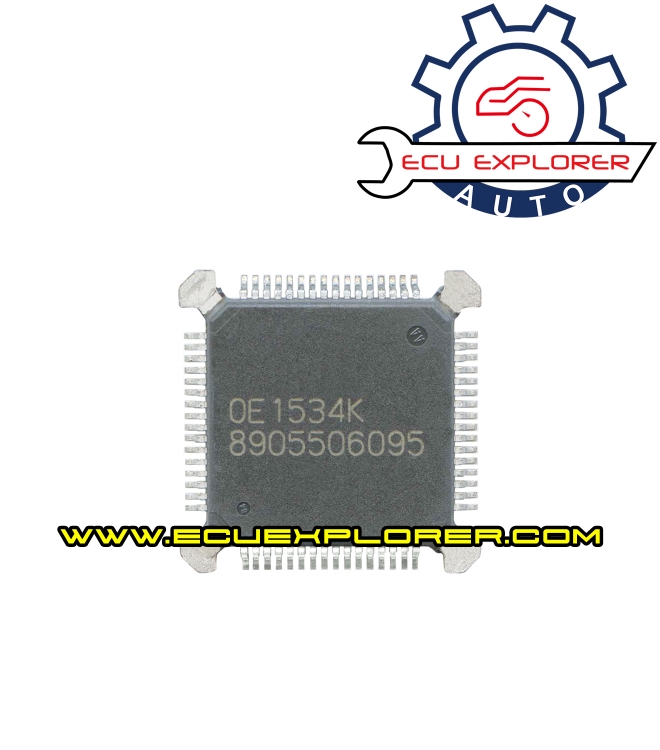 8905506095 Chip