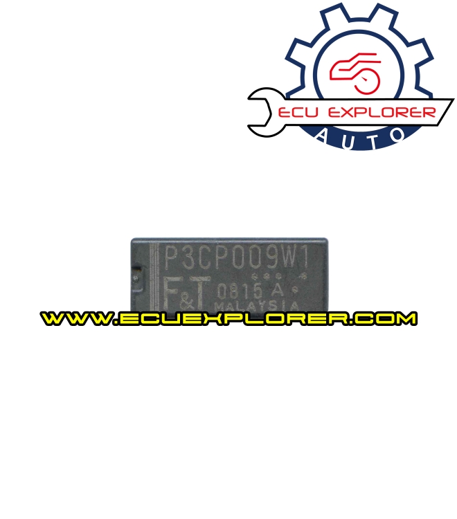 P3CP009W1 relay