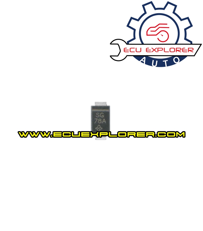 SG 2PIN Small chip