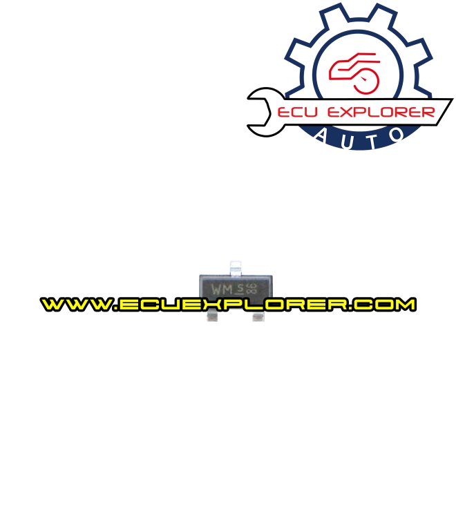 WMs 3PIN chip