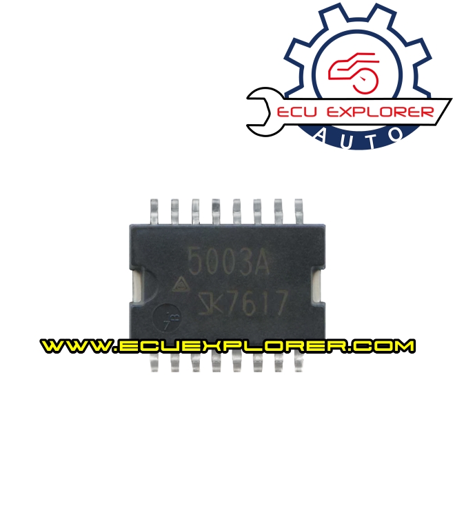 5003A chip