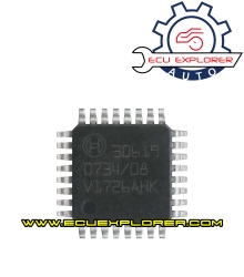 30619 chip